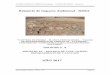 AÑO 2017 - archivo.seam.gov.pyarchivo.seam.gov.py/sites/default/files/users/control/15375_aristides.c.pdfrelatorio de impacto ambiental - rima “cantera de piedra – planta trituradora