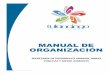 MANUAL DE ORGANIZACIÓN - Tulancingotulancingo.gob.mx/antigua/sites/default/files/manual_de_organizacion_22.pdf · 3 manual de organizaciÓn marco jurÍdico administrativo constituciÓn