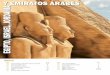 Y EMIRATOS ÁRABES EGIPTO, ISRAEL, JORDANIA · avenida de las Esfinges, el Obelisco, las estatuas de Ramsés II y la Naos. Visita del Templo de Kar - nak, donde se han descubierto