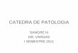 CATEDRA DE PATOLOGIA - Blog 5 Semestre UCIMED I-2011 · 2011-03-01 · Anemia aplásica • Supresión de la función de la médula ósea • Afección de todas las células madre
