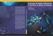 Evaluación de impacto ambiental de acuicultura en jaulas en … · Evaluación de impacto ambiental de acuicultura en jaulas en Canarias 14 Introducción 1 1.1. La acuicultura marina
