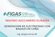 INGENIO AZUCARERO GUABIRAfigas.org/v10/wp-content/uploads/Sergio-Arnez.pdf · 2018-11-15 · ingenio azucarero guabira generacion de electricidad con bagazo de caÑa ing. sergio arnez