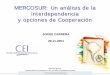 MERCOSUR: Un análisis de la interdependencia y opciones de ... · Lo medimos con el Modelo Macroeconómico de Equilibrio General Computado del CEI ¾3 países (Argentina, Brasil