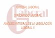 GACETAL LABORAL DIPLOMADO LABORAL ANÁLISIS …...El régimen de los trabajadores portuarios, se rige por la Ley N° 27866 (16.11.2002), donde se regulan las relaciones laborales aplicables