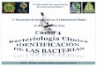 “Fortaleciendo las competencias del Laboratorio Clínico”patologiaclinicamexicana.org.mx/pdfs/memo/Identificacionbacteriana.pdf · más en ti, hay más de lo que crees, puedes
