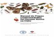 Manual de Plagas yManual de Plagas y Enfermedades del Bosque Nativo en Chile Página 7 Indice de Figuras Figura 1. Adulto de Brachysternus prasinus 13Figura 2. Adulto de Cerospastus