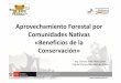 Aprovechamiento Forestal por Nativas de la - UNESCO · 2016-04-20 · Aprovechamiento Forestal por Comunidades Nativas «Beneficios de la Conservación» Ing. Ernesto John Flórez