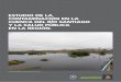 ESTUDIO DE LA CONTAMINACIÓN EN LA CUENCA …...3 En 2007 se presentó ante el Tribunal Latino-americano del Agua el caso del deterioro y contaminación del Río Grande de Santiago