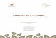 Minería en Colombiacdn.ipsnoticias.net/documentos/Mineria-en-Colombia-2013.pdf · 2013-05-21 · 6 Minería en Colombia Fundamentos para superar el modelo extractivista Contraloría
