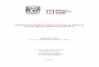 Evaluación de la Huella de Carbono con enfoque de …novaceramic.com.mx/pdf/emisiones_co2.pdfEvaluación de la Huella de Carbono con enfoque de Análisis de Ciclo de Vida para 12