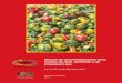 Manual de recomendaciones del cultivo de chile (Capsicum ... · Manual de recomendaciones del cultivo de chile (Capsicum sp) - Luis Fernando Barrantes Jaikel - Plataforma PLATICAR