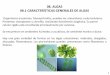 08. ALGAS 08.1 CARACTERÍSTICAS GENERALES DE …depa.fquim.unam.mx/microbio/1410MG-06/T-Presentaciones/...· Algunas algas macroscópicas se utilizan en la industria alimentaria como
