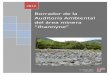 Borrador de la Auditoría Ambiental del área minera “Jhannyne” · 2017-03-09 · Borrador de la Auditoría Ambiental del área minera “Jhannyne” 2012 1 lo Borrador de la