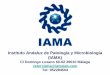 Instituto Andaluz de Patología y Microbiología (IAMA) · de IFN-gamma específicas de PRRSV hasta transcurridos 4 semanas p.i-A nivel local se produce una respuesta mixta Th1 (IFN-gamma)
