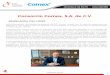 Consorcio Comex, S.A. de C.V.blog.fpnt.org.mx/wp-content/uploads/2018/07/Comex.pdf · 2018-07-18 · CONSORCIO COMEX, S.A. DE C.V. Consorcio Comex, S.A. de C.V. (Comex) es una empresa