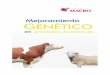 MEJORAMIENTO GENETICO ultima correccion · Durante muchos años, el mejoramiento gené co se ha desarrollado para incrementar la produc vidad animal mediante el uso de la variación
