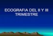 ECOGRAFIA DEL II Y III TRIMESTRE - Dr. Luis Quito · Diametro Biparietal (DBP) • Precisión mayor entre la 12 y 28 Sem. • Su medición es a • Nivel:TRANSTALAMICO •La medida
