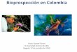 Bioprospección en Colombia · 2017-08-29 · Bioprospección Búsqueda sistemática, clasificación e investigación de nuevas fuentes de compuestos químicos, genes, proteínas