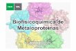 Biofisicoquímica de Metaloproteínas - FBCB-UNL · Los elementos de la tabla periódica: presencia en metaloproteínas - The elements used as cofactors by enzymes are shown in green