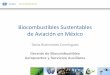 Biocombustibles sustentables de aviación en México•Los biocombustibles de aviación son una realidad en México y en el mundo. •La factibilidad técnica de su uso está probada