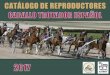 Catálogo de Reproductores del Caballo Trotador Español (2017). · realizada en el anterior Catálogo (año 2016), hemos visto que se ha incrementado en un 1,80% el número de animales