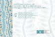 Informe sobre el Estado de los Recursos Fitogenéticos en ...treatylearningmodule.bioversityinternational.org... · preparado para la Conferencia Técnica Internacional sobre los