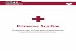 Manual Primeros Auxilios - GEAS Serviciosgeas-servicios.com/pdf/Manual_Primeros_Auxilios.pdfRectal (recto) 36,2 a 38,0 C Conceptos Básicos en los Primeros Auxilios Primeros Auxilios: