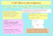 CAP 2B:La red recíprocafmc0.unizar.es/people/elias/Prop_Mec/Red_Reciproca.pdf · , del espacio recíproco (no de la red) representa una onda plana de vector de onda . k. Los factores