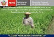 El riego con secas intermitentes en el cultivo de arroz ... de escalamiento y el enfoque... · PROYECTO DE ESCALAMIENTO “El Riego con Secas Intermitentes en el Cultivo del Arroz
