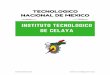 Booklet Institucional Instituto Tecnológico de Celaya · Booklet Institucional Instituto Tecnológico de Celaya d) Dentro de todo el territorio mexicano se maneja el Peso Mexicano