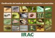 Clasificación del modo de acción de insecticidas y acaricidas · El Comité de Acción contra la Resistencia a Insecticidas (IRAC España) se formó en el año 2000 como país miembro