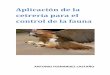 Aplicación de la cetrería para el control de la faunaconcurso.avium.es/wp-content/uploads/01-cate-inv... · Índice 1. Introducción. 2. La cetrería. o 2.2 Características de