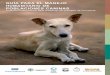GUÍA PARA EL MANEJO HUMANITARIO DE ......Introducción Todas las organizaciones dentro de la coalición ICAM buscan mejorar el bienestar animal como un propósito común y como una