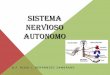 SISTEMA NERVIOSO AUTONOMOs30f9b4ac704b1040.jimcontent.com/download/version...SISTEMA NERVIOSO AUTONOMO Sistema eferente Inerva la musculatura lisa vascular y visceral, las glándulas