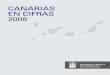 CANARIAS EN CIFRAS 2008 · 2019-02-15 · Dado el éxito obtenido durante estos años con nuestra publicación “Canarias en Cifras”, presentamos este año esta nueva edición