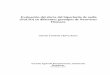 Evaluación del efecto del hipoclorito de sodio …...iii Evaluación del efecto del hipoclorito de sodio (NaClO) en diferentes genotipos de Norovirus Humano Génesis Yosebeth Chávez