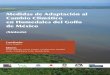Medidas de Adaptación al Cambio Climático en …d2ouvy59p0dg6k.cloudfront.net/downloads/librohumedales...Medidas de Adaptación al Cambio Climático en Humedales del Golfo de México