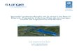 Peritaje independiente de la presa de Barro Blanco, Panamá ... · El Proyecto Hidroeléctrico de Barrio Blanco, cuya presa está actualmente en cons-trucción, ... Plano general