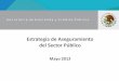 Estrategia de Aseguramiento del Sector Público · 2012-05-11 · gubernamentales en los mercados de reaseguro y capitales bajo instrumentos sustentados en las reglas de FONDEN. 19