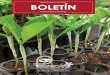 BOLETÍN - promecafe.netpromecafe.net/wp-content/uploads/2018/04/Boletin-152-BR.pdf · siguiendo un Diseño de Bloque Completo al Azar (DBCA), con trece trata-mientos y cinco repeticio-nes,