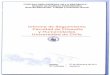 Informe de Seguimiento Facultad de ... - Universidad de Chileweb.uchile.cl/transparencia/archivos/infSegCGR154-2010.pdf · Definicion de conocimientos requeridos para desempenar adecuadamente