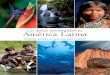 Las de América Latina - iucn.org · Las áreas protegidas de América Latina No hay duda alguna del gran progreso que han logrado los países de América Latina en la conservación