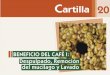 OBJETIVOS - Jotagallojotagallo.com/agricola/assets/cenicafe-avance-tecnico... · 2018-09-06 · Lavado del café en canal de correteo Canal de correteo Para el segundo lavado ponga