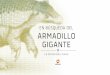 Ecología y conservación del Armadillo Gigante …...Ecología y conservación del Armadillo Gigante (Priodontes maximus ) a lo largo del gasoducto en la Amazonía Peruana Repsol