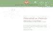 Navidad en Polonia - ASINBE · 2010-03-21 · Navidad en Polonia TRADICIONES Y COSTUMBRES LA CENA DE NAVIDAD • EL ARBOL DE ABETO • EL BELÉN La Embajada de Polonia en México