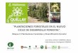 PLANTACIONES FORESTALES EN EL NUEVO CICLO …...Ensayos de silvicultura en plantaciones existentes Intervención silvícola en plantación de Quillay de 12 años Tipo intervención
