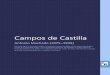 Campos de Castilla · Campos de Castilla Antonio Machado (1875–1939) ... contraréis a bordo ligero de equipaje, casi desnudo, como los hijos de la mar. Mediaba el mes de julio