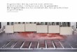 Inyección de la carne con efecto atomizador. …de.metalquimia.com/upload/document/article-es-11.pdfde salmuera de pistón volumétrico en lugar de bombas continuas. Series de músculos