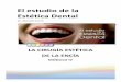 El estudio de la Estética Dental · El Estudio de la Estética Dental. Módulo IV: la cirugía Estética de la Encía DENTAL ÓPERA DOCENCIA Dr. Manuel Cueto 2 CONTENIDOS TEÓRICOS