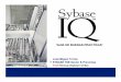 ‘GUIA DE BUENAS PRACTICAS IQ - Buenas Prácticas.pdf · •Incluidoscon Sybase IQ y Sybase Adaptive Server paraentregar a losusuarios Sybase IQ / ASE accesodirectoa bd relacionaleso